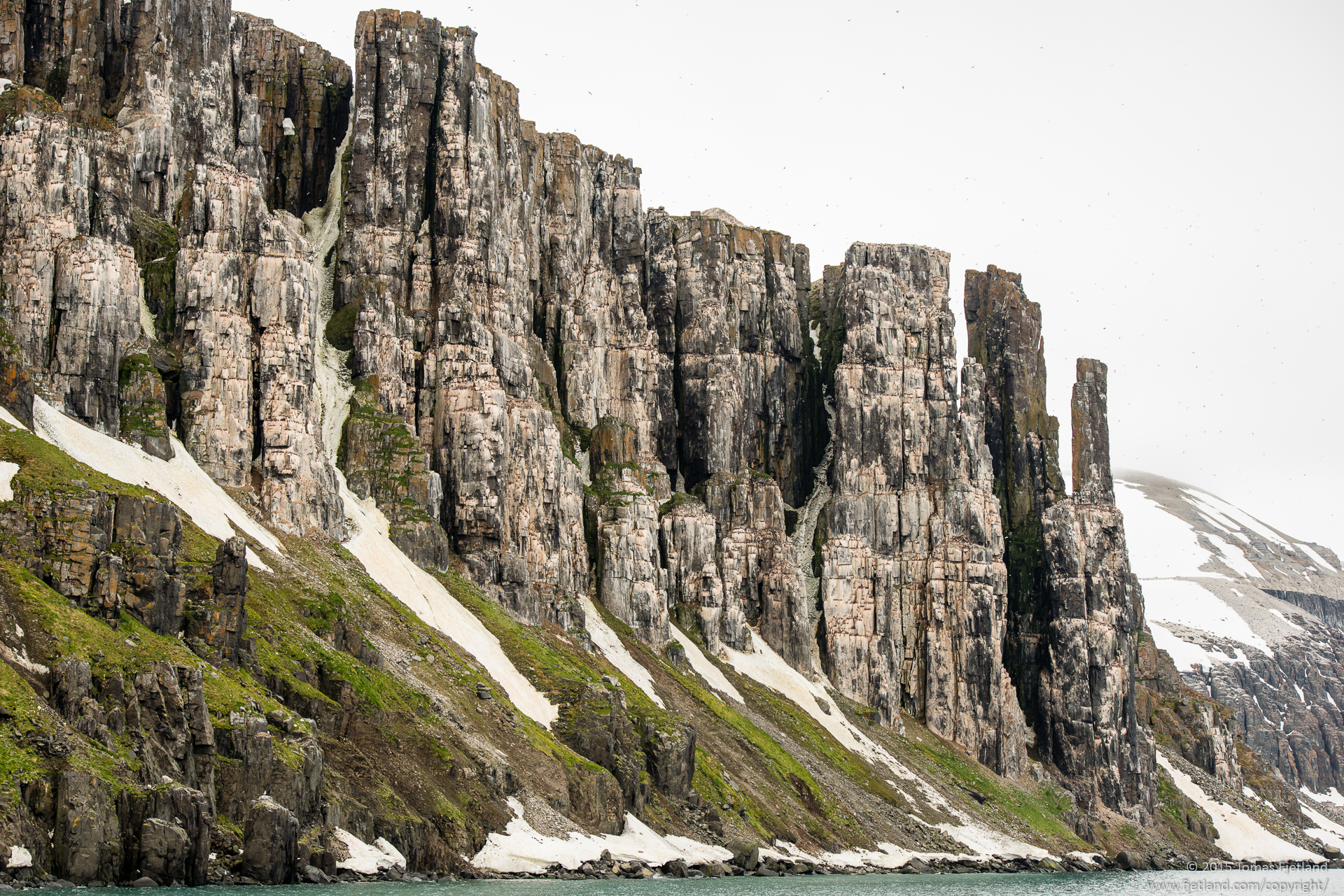 A small part of the bird cliffs Alkefjellet