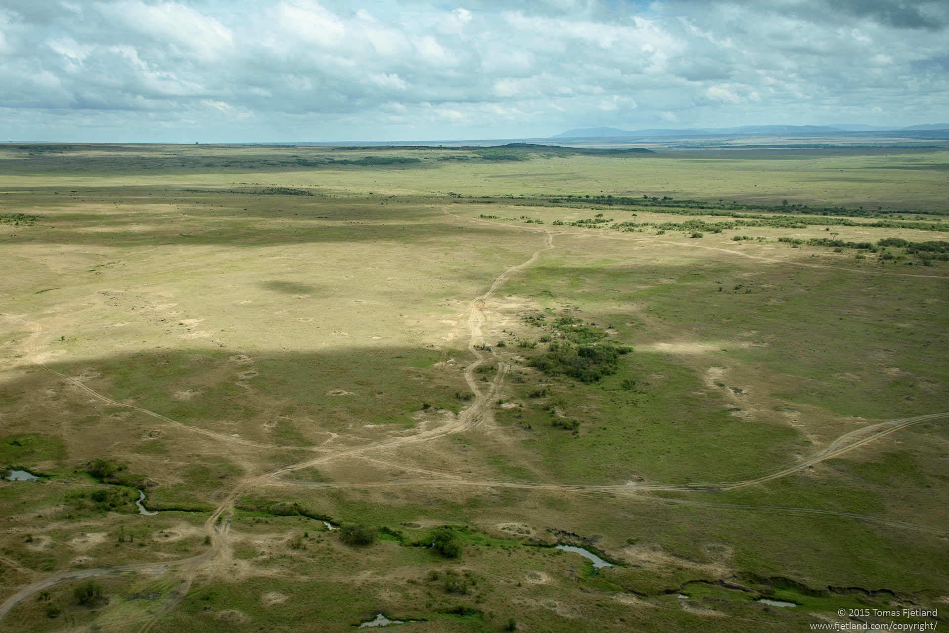 The green fields of the Masai Mara