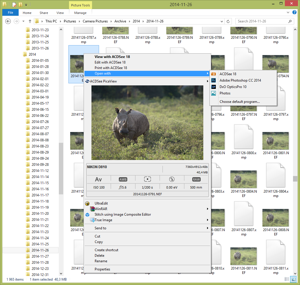 PicaView previewing a RAW file from a Nikon D810