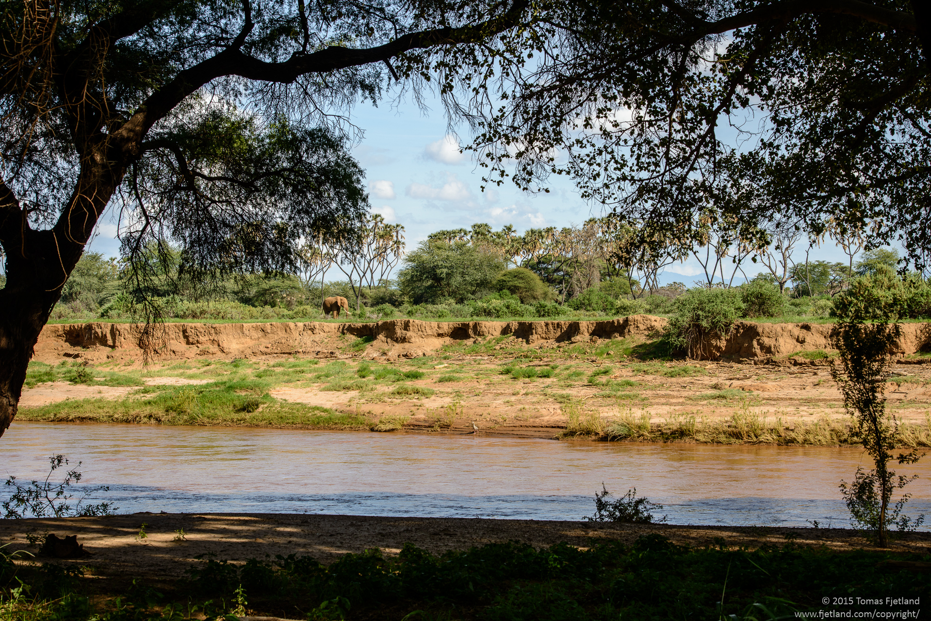 View from the "porch" of my tent at Larsens camp in Samburu